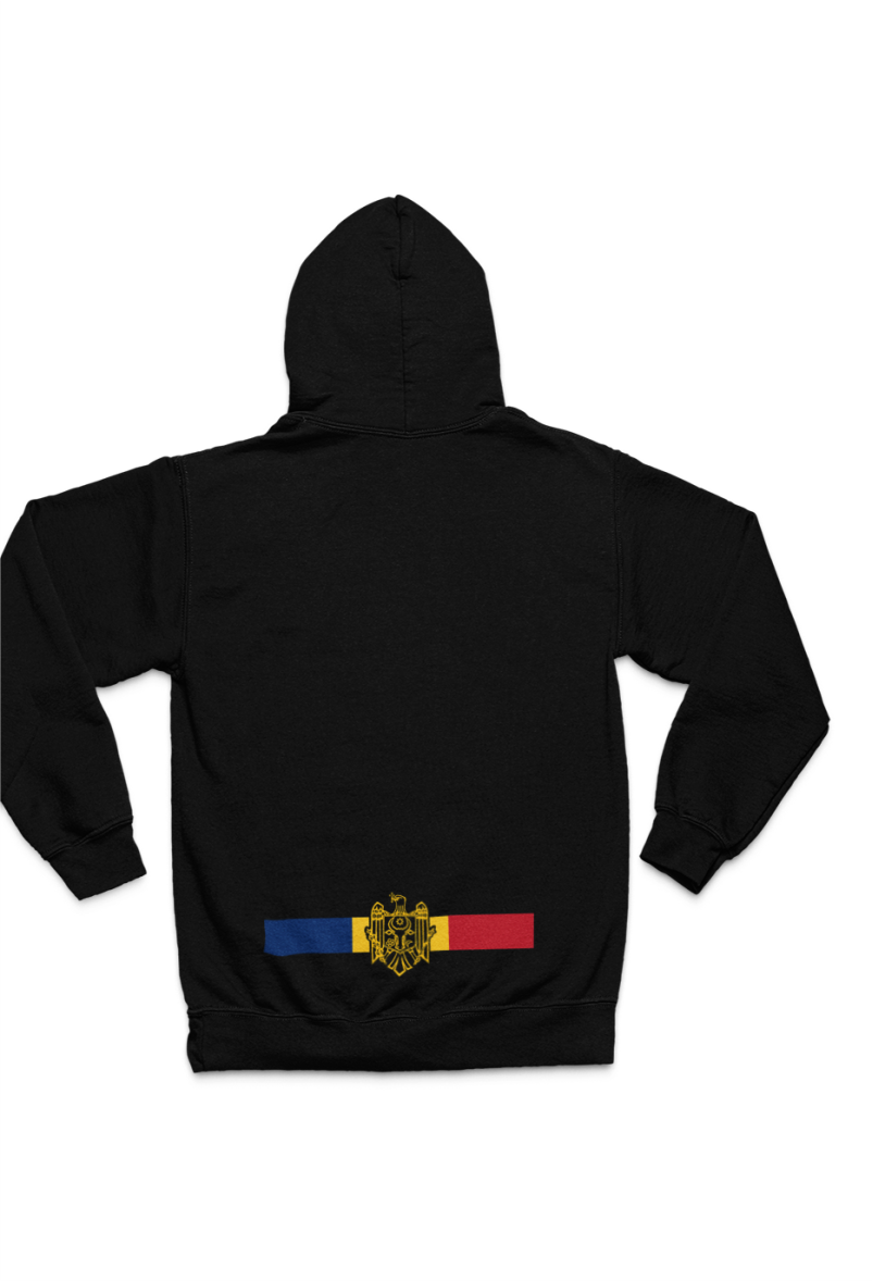 Hoodie Moldawien Wappen & Flagge Dezent