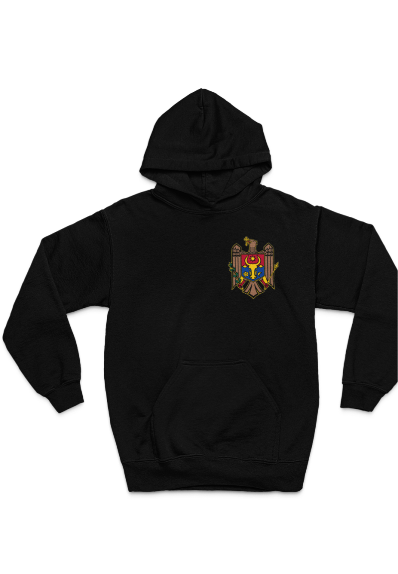 Hoodie Moldawien Wappen & Flagge Dezent