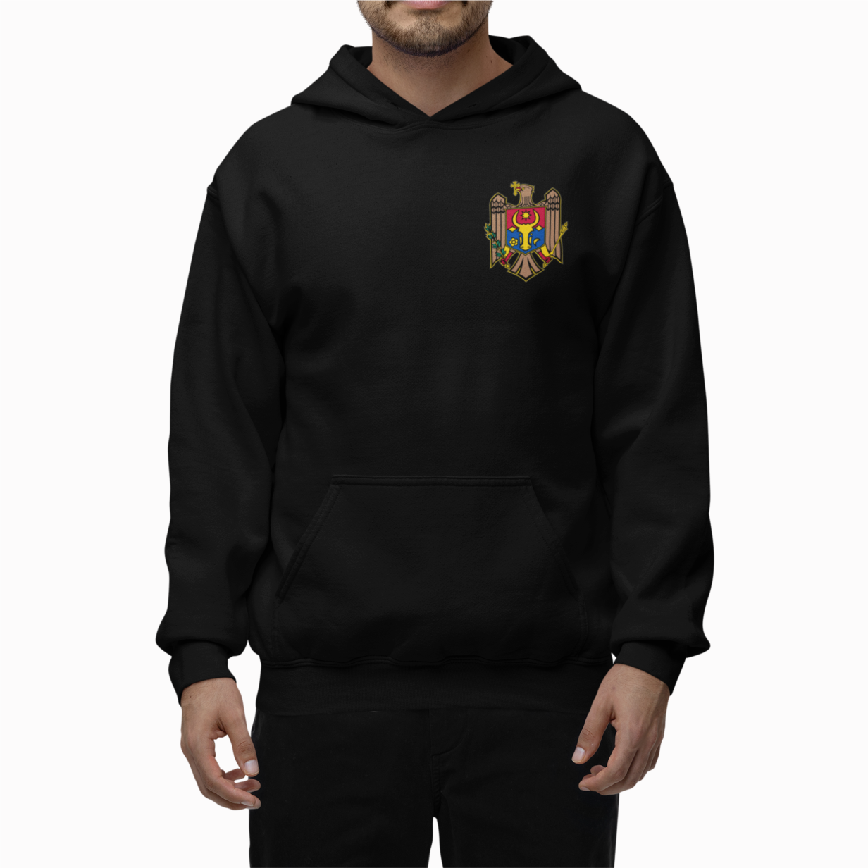 Hoodie Moldawien Wappen & Landkarte Trikolore